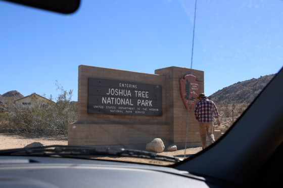 Joshua Tree キャンプ